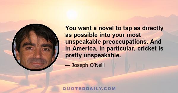 You want a novel to tap as directly as possible into your most unspeakable preoccupations. And in America, in particular, cricket is pretty unspeakable.