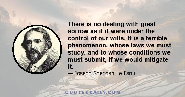 There is no dealing with great sorrow as if it were under the control of our wills. It is a terrible phenomenon, whose laws we must study, and to whose conditions we must submit, if we would mitigate it.