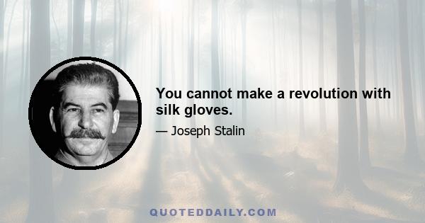 You cannot make a revolution with silk gloves.