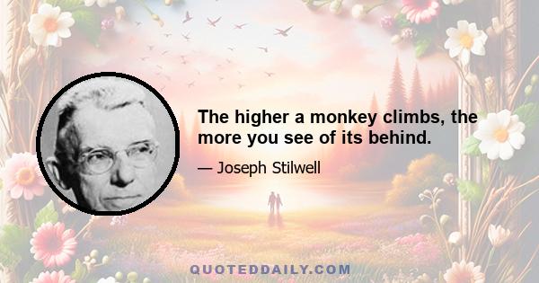 The higher a monkey climbs, the more you see of its behind.