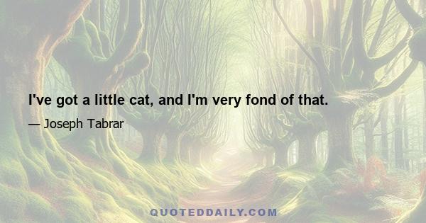 I've got a little cat, and I'm very fond of that.