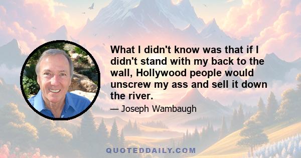 What I didn't know was that if I didn't stand with my back to the wall, Hollywood people would unscrew my ass and sell it down the river.