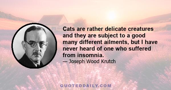 Cats are rather delicate creatures and they are subject to a good many different ailments, but I have never heard of one who suffered from insomnia.