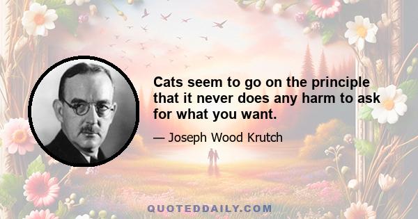 Cats seem to go on the principle that it never does any harm to ask for what you want.