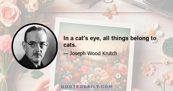 In a cat's eye, all things belong to cats.