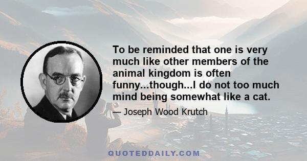 To be reminded that one is very much like other members of the animal kingdom is often funny...though...I do not too much mind being somewhat like a cat.