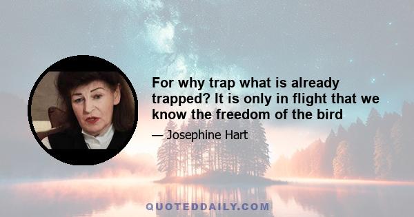 For why trap what is already trapped? It is only in flight that we know the freedom of the bird