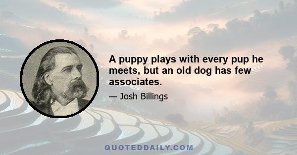 A puppy plays with every pup he meets, but an old dog has few associates.