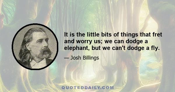 It is the little bits of things that fret and worry us; we can dodge a elephant, but we can't dodge a fly.