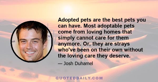 Adopted pets are the best pets you can have. Most adoptable pets come from loving homes that simply cannot care for them anymore. Or, they are strays who've been on their own without the loving care they deserve.