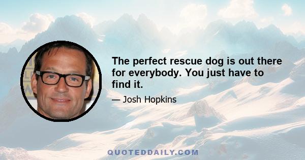 The perfect rescue dog is out there for everybody. You just have to find it.