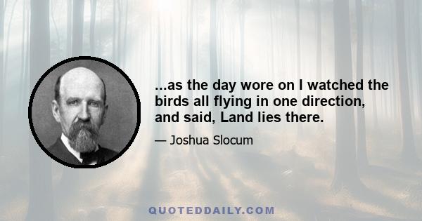 ...as the day wore on I watched the birds all flying in one direction, and said, Land lies there.