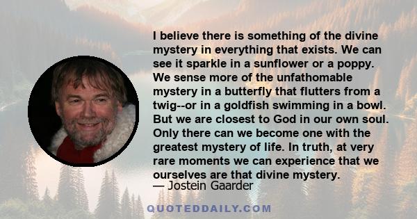 I believe there is something of the divine mystery in everything that exists. We can see it sparkle in a sunflower or a poppy. We sense more of the unfathomable mystery in a butterfly that flutters from a twig--or in a