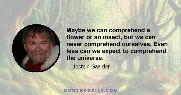 Maybe we can comprehend a flower or an insect, but we can never comprehend ourselves. Even less can we expect to comprehend the universe.