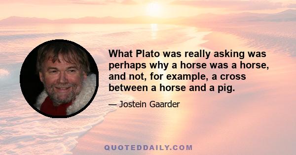 What Plato was really asking was perhaps why a horse was a horse, and not, for example, a cross between a horse and a pig.