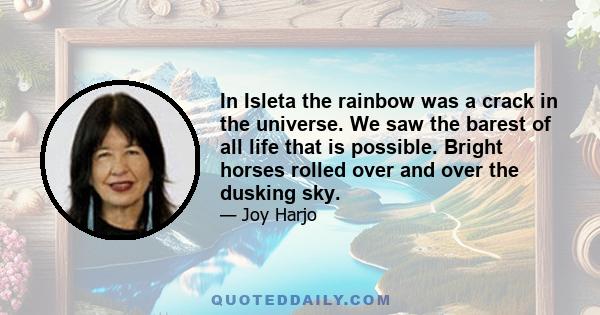 In Isleta the rainbow was a crack in the universe. We saw the barest of all life that is possible. Bright horses rolled over and over the dusking sky.