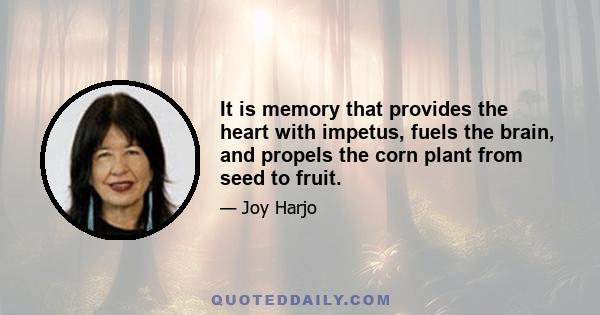 It is memory that provides the heart with impetus, fuels the brain, and propels the corn plant from seed to fruit.