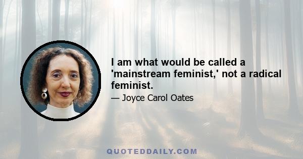 I am what would be called a 'mainstream feminist,' not a radical feminist.