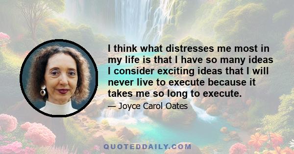 I think what distresses me most in my life is that I have so many ideas I consider exciting ideas that I will never live to execute because it takes me so long to execute.