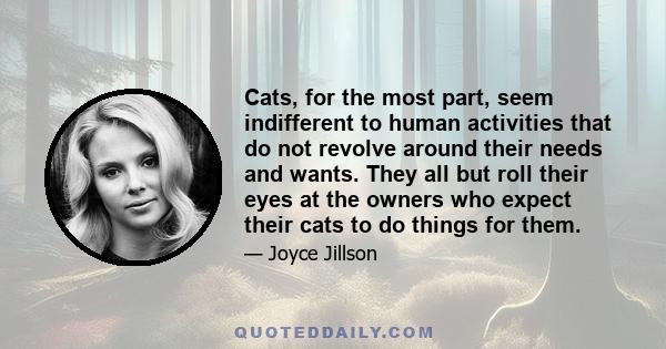 Cats, for the most part, seem indifferent to human activities that do not revolve around their needs and wants. They all but roll their eyes at the owners who expect their cats to do things for them.