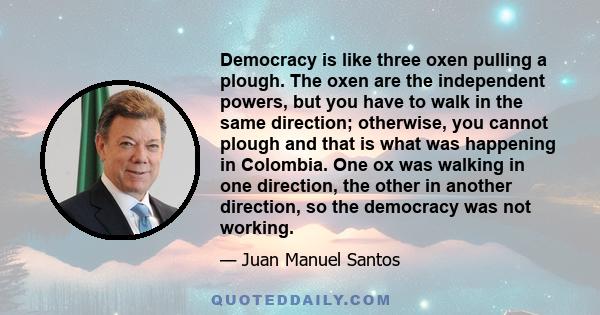 Democracy is like three oxen pulling a plough. The oxen are the independent powers, but you have to walk in the same direction; otherwise, you cannot plough and that is what was happening in Colombia. One ox was walking 