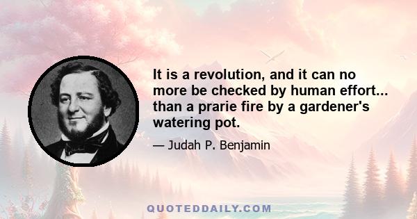 It is a revolution, and it can no more be checked by human effort... than a prarie fire by a gardener's watering pot.