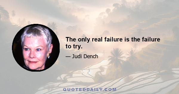 The only real failure is the failure to try.