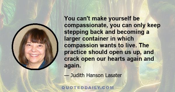 You can't make yourself be compassionate, you can only keep stepping back and becoming a larger container in which compassion wants to live. The practice should open us up, and crack open our hearts again and again.