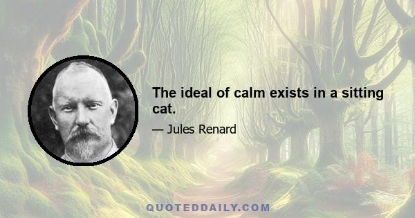 The ideal of calm exists in a sitting cat.