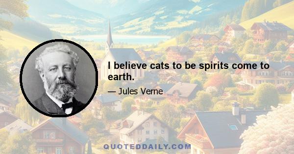 I believe cats to be spirits come to earth.