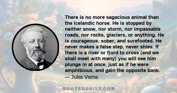 There is no more sagacious animal than the Icelandic horse. He is stopped by neither snow, nor storm, nor impassable roads, nor rocks, glaciers, or anything. He is courageous, sober, and surefooted. He never makes a