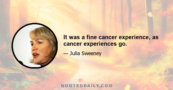 It was a fine cancer experience, as cancer experiences go.