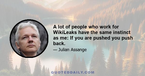 A lot of people who work for WikiLeaks have the same instinct as me: If you are pushed you push back.