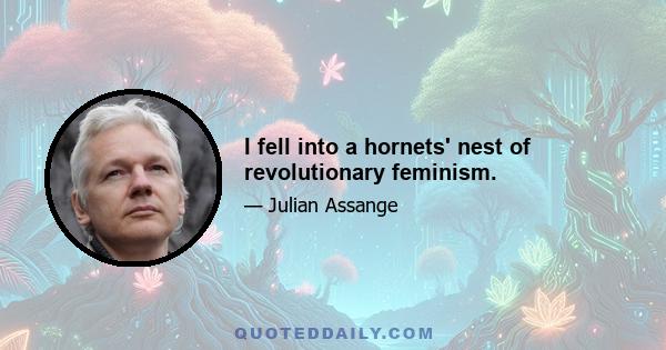 I fell into a hornets' nest of revolutionary feminism.