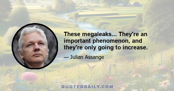 These megaleaks... They're an important phenomenon, and they're only going to increase.