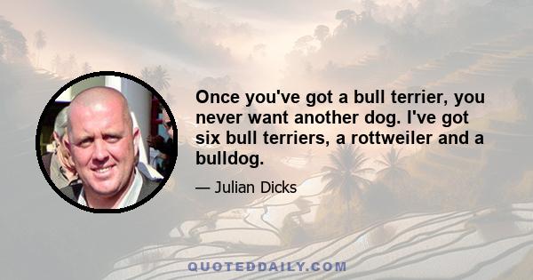 Once you've got a bull terrier, you never want another dog. I've got six bull terriers, a rottweiler and a bulldog.