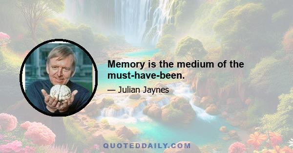 Memory is the medium of the must-have-been.