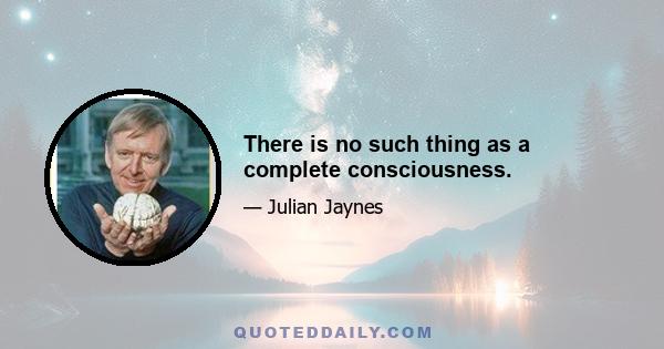 There is no such thing as a complete consciousness.