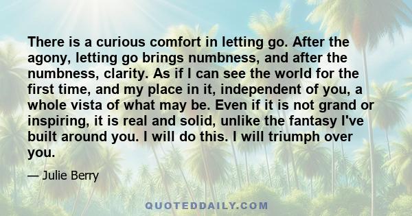 There is a curious comfort in letting go. After the agony, letting go brings numbness, and after the numbness, clarity. As if I can see the world for the first time, and my place in it, independent of you, a whole vista 