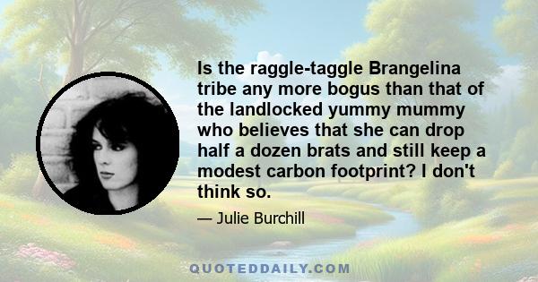 Is the raggle-taggle Brangelina tribe any more bogus than that of the landlocked yummy mummy who believes that she can drop half a dozen brats and still keep a modest carbon footprint? I don't think so.