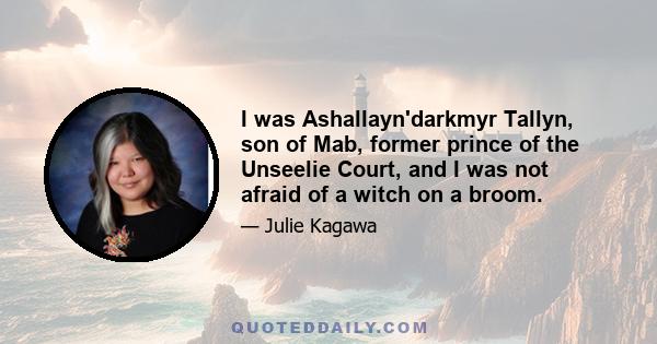 I was Ashallayn'darkmyr Tallyn, son of Mab, former prince of the Unseelie Court, and I was not afraid of a witch on a broom.