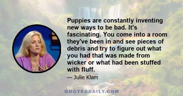 Puppies are constantly inventing new ways to be bad. It's fascinating. You come into a room they've been in and see pieces of debris and try to figure out what you had that was made from wicker or what had been stuffed