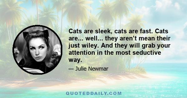 Cats are sleek, cats are fast. Cats are... well... they aren’t mean their just wiley. And they will grab your attention in the most seductive way.