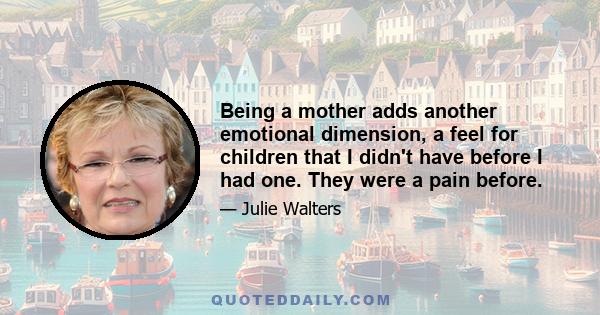 Being a mother adds another emotional dimension, a feel for children that I didn't have before I had one. They were a pain before.