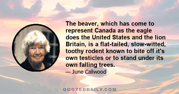 The beaver, which has come to represent Canada as the eagle does the United States and the lion Britain, is a flat-tailed, slow-witted, toothy rodent known to bite off it's own testicles or to stand under its own