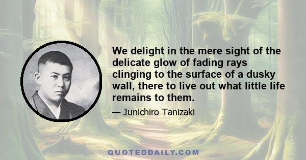 We delight in the mere sight of the delicate glow of fading rays clinging to the surface of a dusky wall, there to live out what little life remains to them.