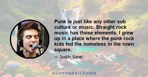 Punk is just like any other sub culture or music. Straight rock music has those elements. I grew up in a place where the punk rock kids fed the homeless in the town square.