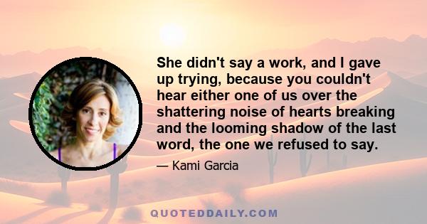 She didn't say a work, and I gave up trying, because you couldn't hear either one of us over the shattering noise of hearts breaking and the looming shadow of the last word, the one we refused to say.