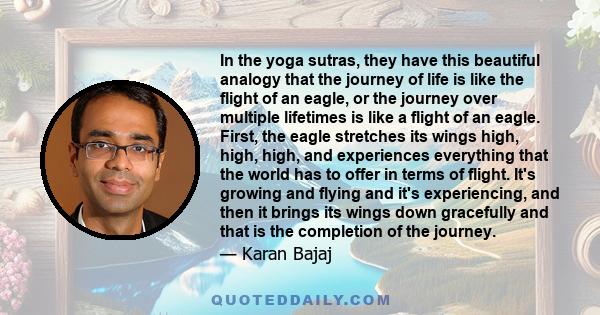 In the yoga sutras, they have this beautiful analogy that the journey of life is like the flight of an eagle, or the journey over multiple lifetimes is like a flight of an eagle. First, the eagle stretches its wings