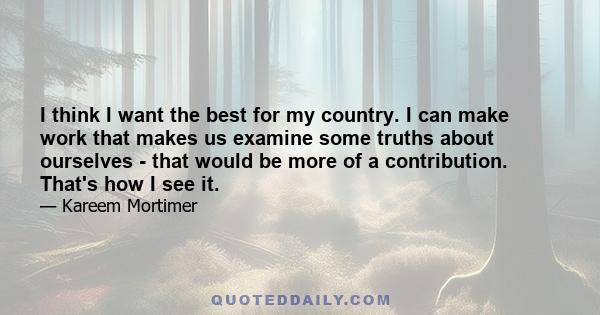 I think I want the best for my country. I can make work that makes us examine some truths about ourselves - that would be more of a contribution. That's how I see it.